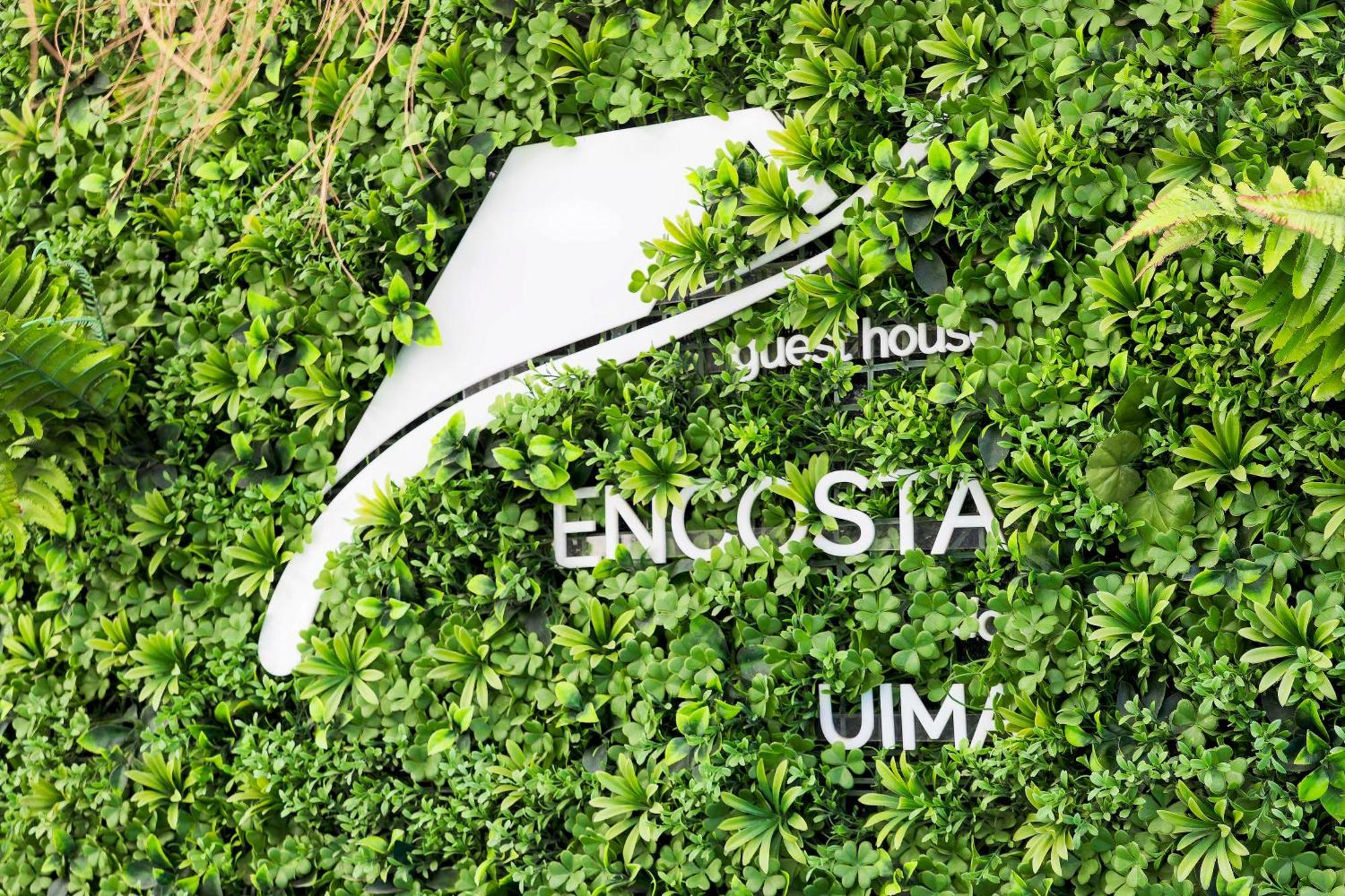 Encosta Do Uima - Guest House Caldas de Sao Jorge Extérieur photo